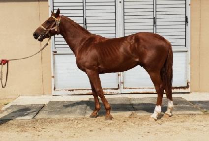 �½¸� ����