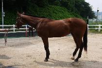 �����屺 (CHUNGUI JANGGUN) ����