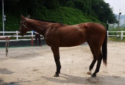 �����屺 ����