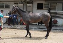 ���� (BYEOLHA) ����