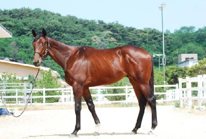 ��Ÿ����Ʈ�� ����