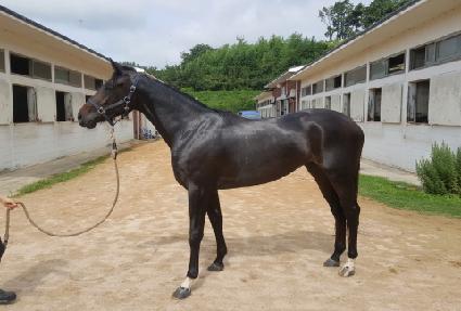 ��������� ����