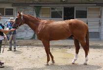 ���̾�Ƽ��Ʈ (NAMCHON ARTIST) ����