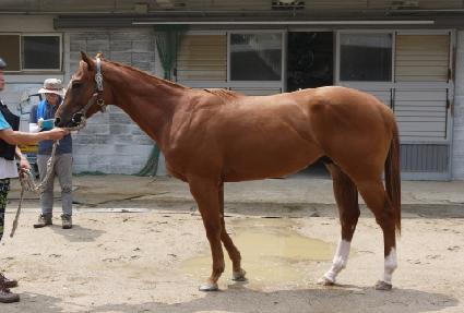 ���̾�Ƽ��Ʈ ����