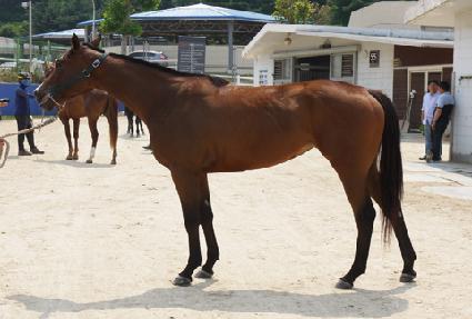 ����ư���� ����