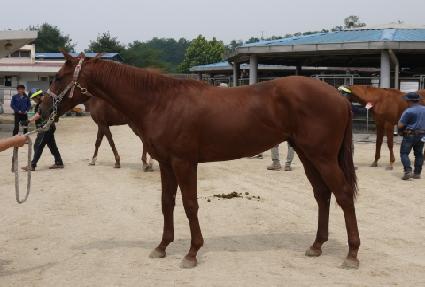 ���̽���� ����