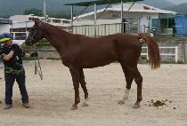 ���ͳ��ڸ��� (ETERNAL KOREA) ����