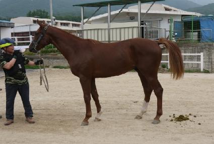 ���ͳ��ڸ��� ����