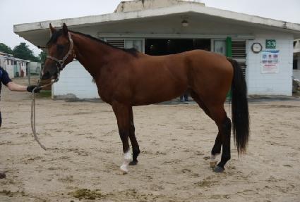 �ε����� ����