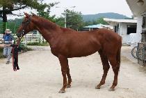 ĵ���� (CAN DO IT) ����