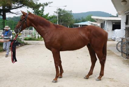 ĵ���� ����