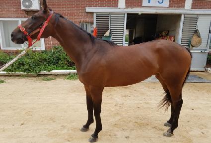 ��Ʈ��ī�� ����