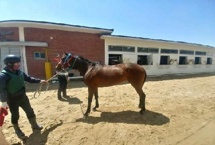 �ٶ��Ǿ�� ����