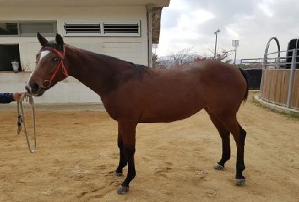 ü����Ű�� ����