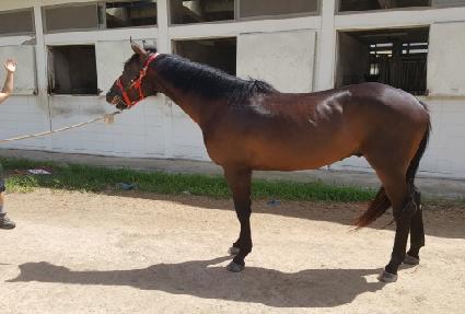 ��ũ���ĭ ����