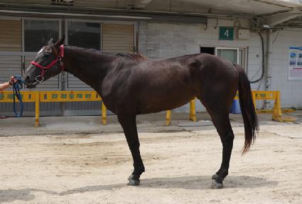 �Ѿ������� ����