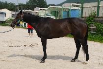 �����̵����� (POSEIDON MARINE) ����