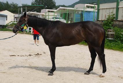 �����̵����� ����