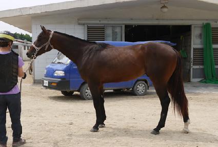 ī�϶󽺴��� ����