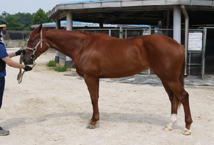 �ູ��ã�� ����