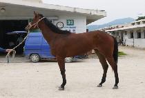 ��ī�̺��� (SKY BAY) ����