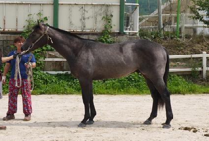 ���ǽ� ����