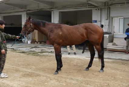 ���̽�ŷ ����