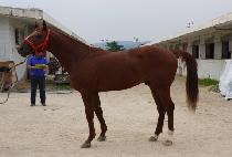 Ŭ�������� (CLEAN UP BOARD) ����