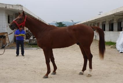 Ŭ�������� ����