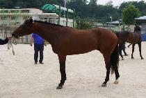 �Ҹ������� (BULMYEORUI JEWANG) ����