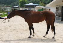 ������� (JISANGMYEONGRYEONG) ����