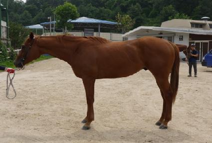 �Ƴʽ��� ����