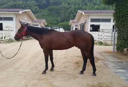 ��������Ʈ ����