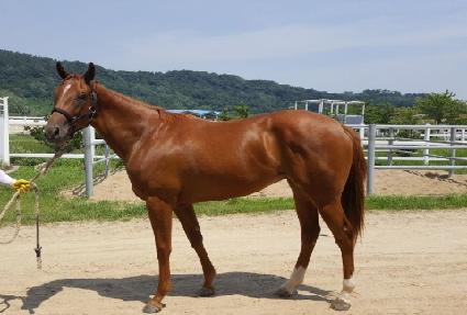 ��ƮŸ�� ����