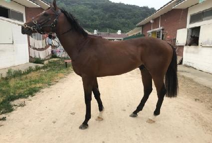 �ޱ� ����