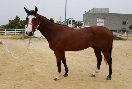 �������� ����