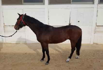 �׷���Ʈ�Ƴ� ����