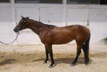 ���������� (LINDSEY��S RHYME) ����