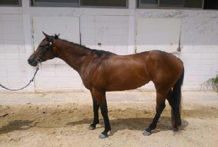 ���������� ����