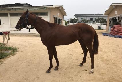 �Ļ� ����