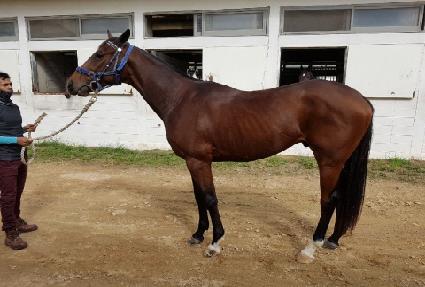 ���� ����