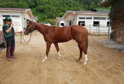 �ݾ������� ����