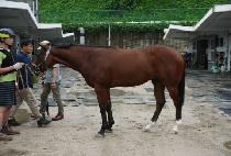 �������� (MYEONGGA JEWANG) ����