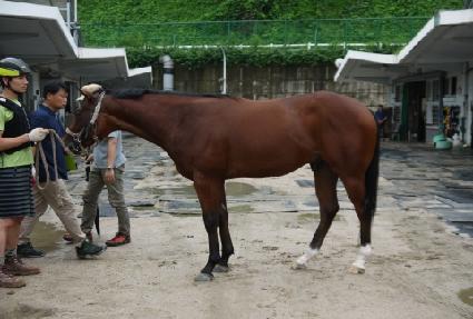 �������� ����