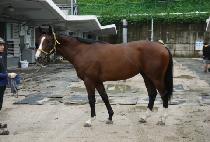 �����̾�ŷ�� (EMPIRE KINGDOM) ����