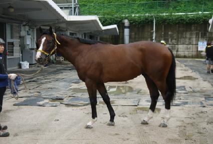 �����̾�ŷ�� ����