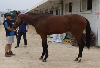 �ĳ�󸶼� ����