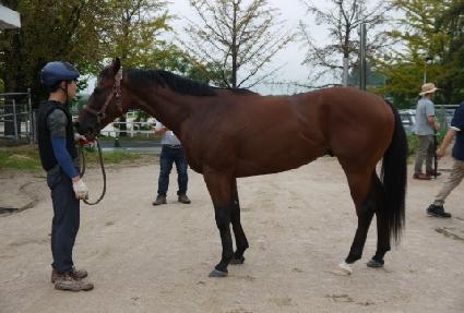 �Ƴ���Ƽ�� ����