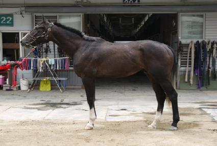 ���̿õ�ǹ� ����