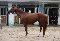 ���彺��� (WORLD SPEACIAL) ����